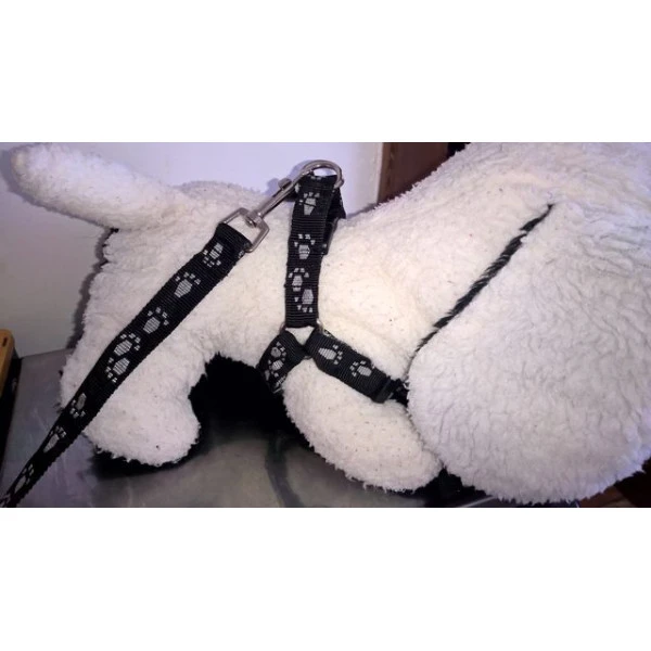 Postroj (kšíry)+ vodítko nylon pro menší psy