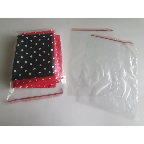 100ks Sáček se samolepicí klopou 250x300mm (matný)